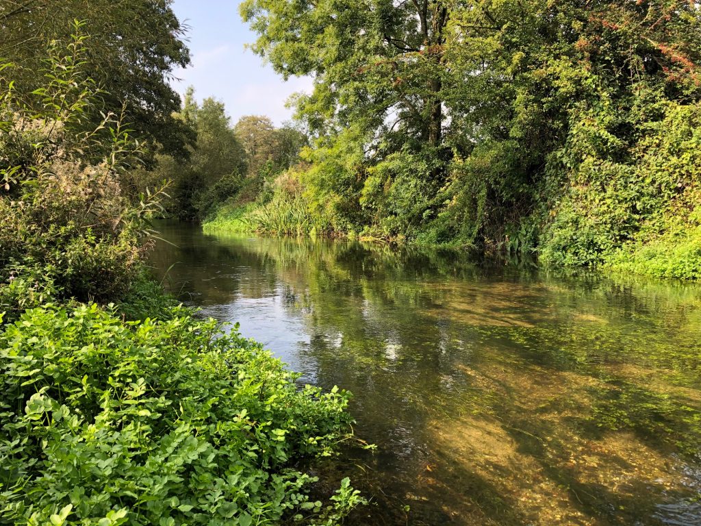 Lower Boyton downstream
