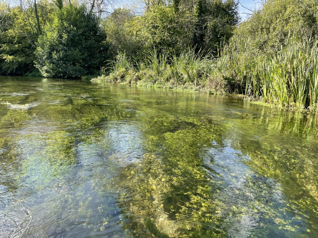River Itchen by Alex Richardson
