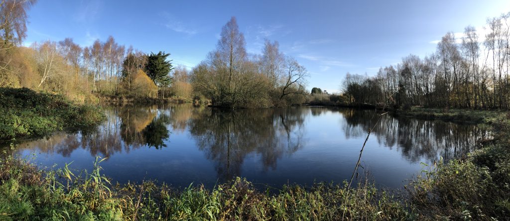Western Court Lakes